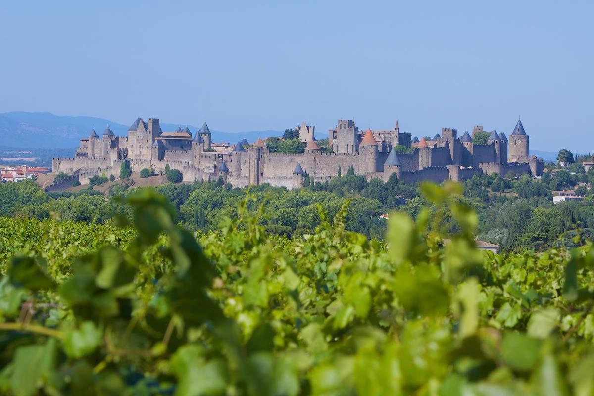 Tout Confort ! Calme, Climatisation, Parking Gratuit, Grande Terrasse, Ascenseur, Wifi Carcassonne Exterior foto